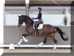 Secret Spice HW canter3.jpeg (288189 bytes)