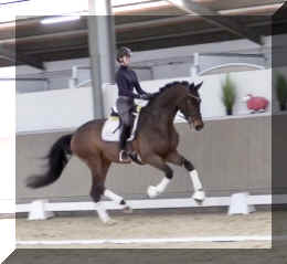 Secret Spice HW canter4.jpeg (215119 bytes)