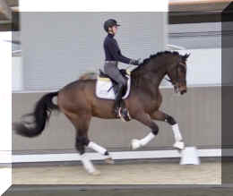 Secret Spice HW canter5.jpeg (238795 bytes)