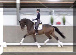 Secret Spice HW trot11.jpeg (348385 bytes)