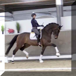 Secret Spice HW trot3.jpeg (213786 bytes)