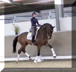 Secret Spice HW trot5.jpeg (172012 bytes)