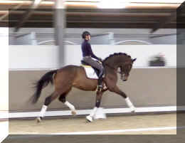 Secret Spice HW trot8.jpeg (265950 bytes)