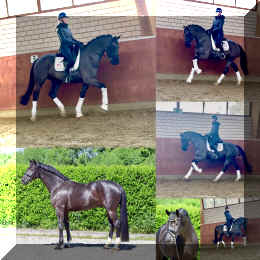 Simply Black HW collage 2026_6.jpeg (392028 bytes)