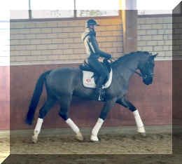 Simply Black HW trot new4.jpeg (527825 bytes)