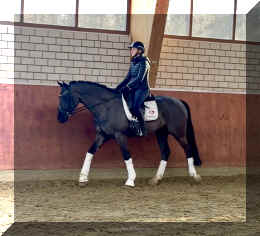 Simply Black HW walk new1.jpeg (635473 bytes)