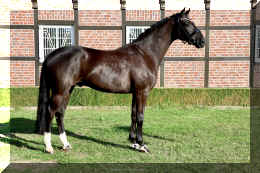 Simply Black HW stand5.jpeg (6096946 bytes)