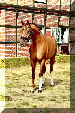 Sky HW stand 1.jpeg (1542437 bytes)