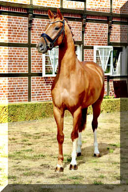 Sky HW stand 2.jpeg (1375358 bytes)