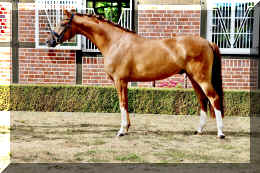 Sky HW stand  4.jpeg (1694999 bytes)