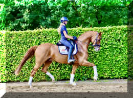 Sky HW trot3.jpeg (1181551 bytes)