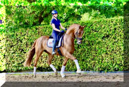 Sky HW trot4.jpeg (1166019 bytes)