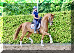 Sky HW trot6.jpeg (1046239 bytes)