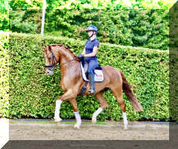 Sky HW trot7.jpeg (915067 bytes)