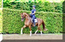 Sky HW trot8.jpeg (956102 bytes)