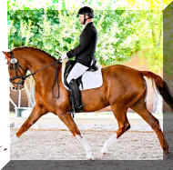 IMG_8818.jpeg (392385 bytes)