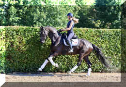 SuperMan HW canter2.jpeg (5697868 bytes)