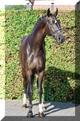 SuperMan HW stand1.jpeg (4371535 bytes)