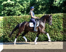 SuperMan HW trot2.jpeg (5308690 bytes)