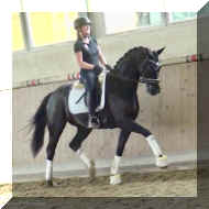 IMG_2045.jpeg (148385 bytes)