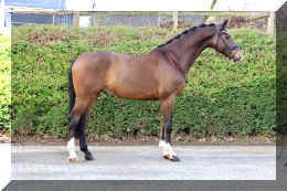 Armani Gold HW stand14.jpeg (7409234 bytes)