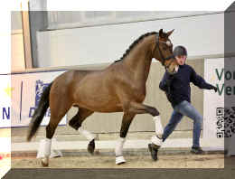 Armani Gold HW stand5.jpeg (403512 bytes)