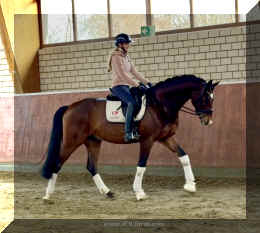 Armani Gold HW walk.jpeg (343463 bytes)