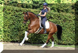 Dream HW new canter3.jpeg (4713974 bytes)