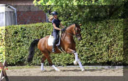 Dream HW new canter4.jpeg (5513304 bytes)