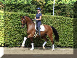 Dream HW new trot4.jpeg (6762030 bytes)