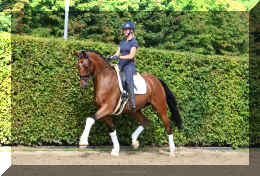 Dream HW new trot7.jpeg (5995600 bytes)