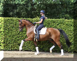 Dream HW new trot9.jpeg (6552271 bytes)