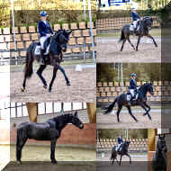 EscaHit HW collage NEW_17.jpeg (438360 bytes)