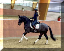 EscaHit canter10.jpeg (223082 bytes)