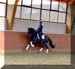 EscaHit canter1.jpeg (207626 bytes)