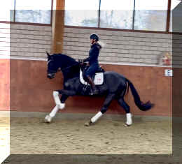 EscaHit canter3.jpeg (200406 bytes)