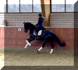 EscaHit canter4.jpeg (187387 bytes)