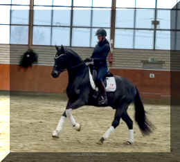 EscaHit canter8.jpeg (201073 bytes)