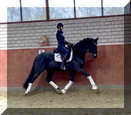 EscaHit trot4.jpeg (158328 bytes)