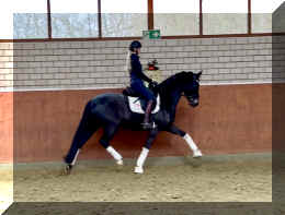 EscaHit trot5.jpeg (217203 bytes)