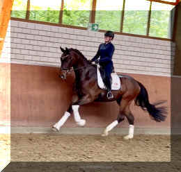 Ferrero HW canter4.jpeg (392085 bytes)