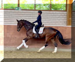 Ferrero HW canter6.jpeg (602709 bytes)
