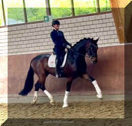 Ferrero HW trot2.jpeg (336728 bytes)