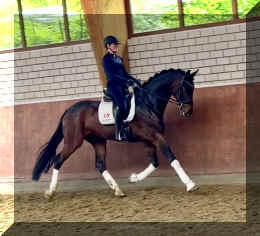 Ferrero HW trot3.jpeg (443735 bytes)