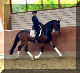 Ferrero HW trot4.jpeg (456805 bytes)