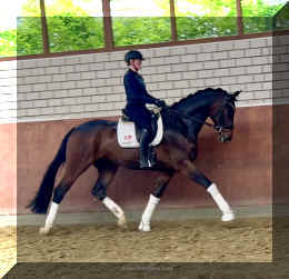 Ferrero HW trot5.jpeg (521553 bytes)