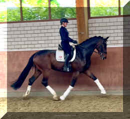 Ferrero HW trot6.jpeg (542418 bytes)