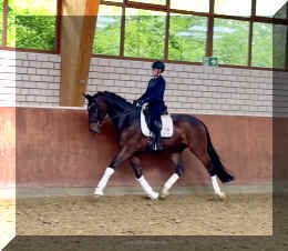 Ferrero HW trot7.jpeg (578303 bytes)