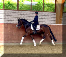 Ferrero HW trot8.jpeg (544135 bytes)
