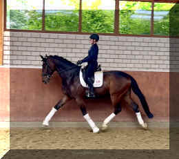 Ferrero HW trot9.jpeg (573818 bytes)